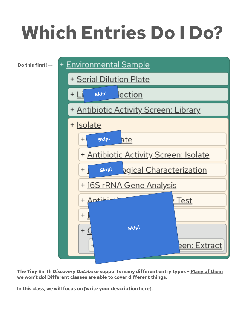 A graphic showing students which Entry Types I want them to skip